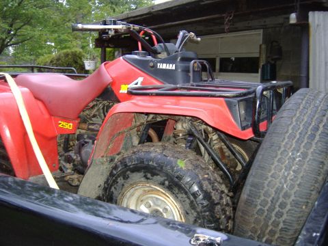 1989 Yamaha MOTO-4 - A red Yamaha ATV, possibly a 250 model, is secured in the bed of a pickup truck.