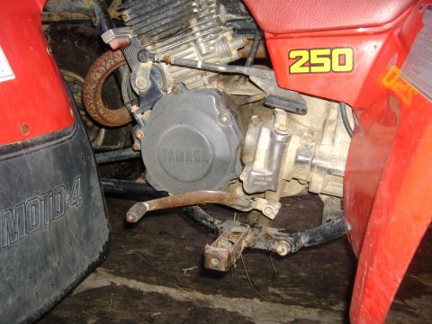 1989 Yamaha MOTO-4 - Close-up view of the engine and bodywork on a red Yamaha ATV, showing "250" and "MOTO-4" badging.
