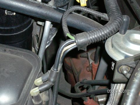 1996 Ford Bronco - This image shows a close-up view of various vacuum lines and engine components within a vehicle's engine bay.