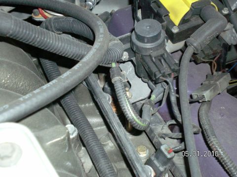 1996 Ford Bronco - Close-up view of engine hoses and electrical connectors, timestamped May 31, 2010.