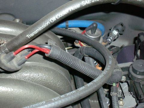 1996 Ford Bronco - Close-up view of engine bay components including transmission oil cooler hose and fuel emission hose.