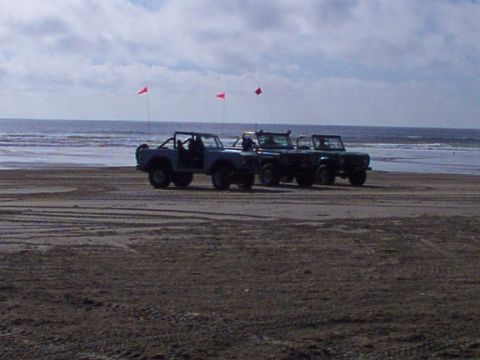 1980 Ford Bronco - Multiple Ford Broncos are parked on a beach near the ocean under a cloudy sky.