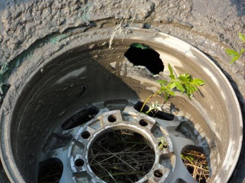 1990 Chevrolet Suburban - This damaged wheel rim is partially submerged in mud, with vegetation growing through a hole in its side.