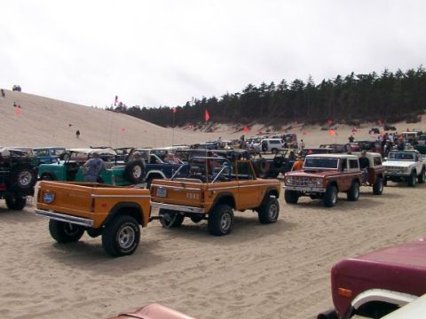 1980 Ford Bronco - A line of Ford Broncos and other vehicles are parked on a sandy dune area, with one orange Bronco towing a trailer in the foreground.
