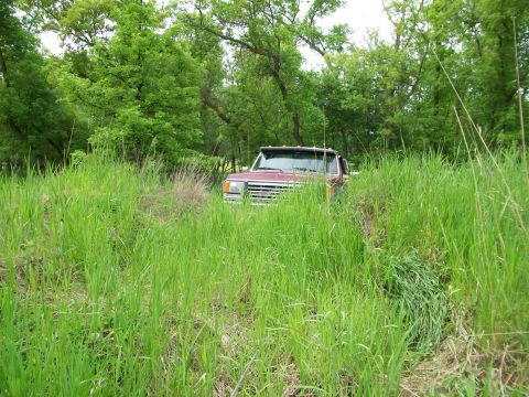 1988 Ford F-150 - A red pickup truck is seen from the front, surrounded by lush green grass and trees.