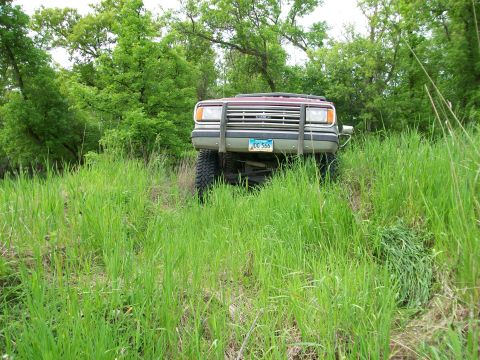 1988 Ford F-150 - This 1988 Ford F-150 is captured from the front, partially obscured by tall grass and a prominent brush guard.