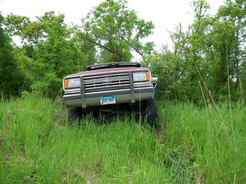 1988 Ford F-150 - This pickup truck is navigating through a grassy, wooded area.
