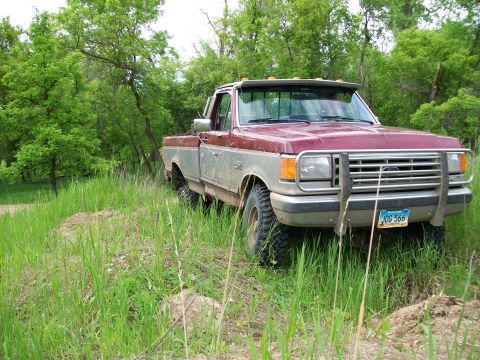1988 Ford F-150 - This Ford F-150 pickup truck is seen from a 3/4 front angle, partially obscured by tall grass and trees.
