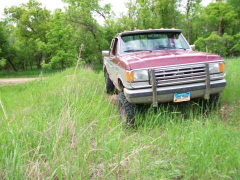 1988 Ford F-150 - This maroon Ford F-150 pickup truck is parked in a grassy field with trees in the background.