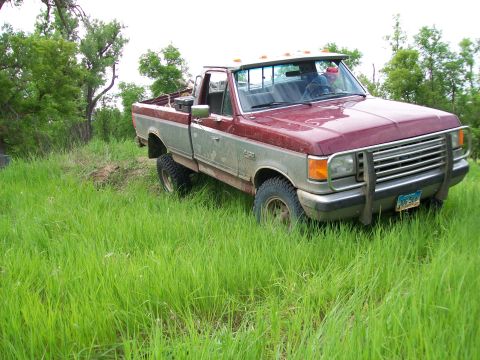 1988 Ford F-150 - A two-tone Ford F-150 pickup truck sits in a grassy field, its front end angled towards the viewer.