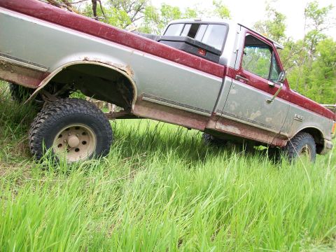 1988 Ford F-150 - ttb flex