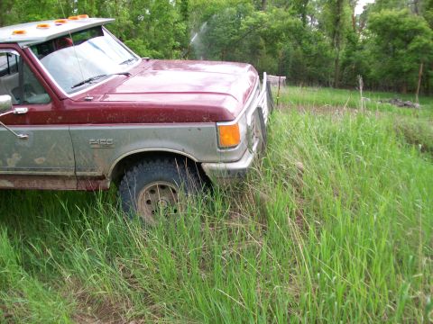 1988 Ford F-150 - This 1987 Ford F-150 pickup truck is partially obscured by tall grass, with its front quarter visible.