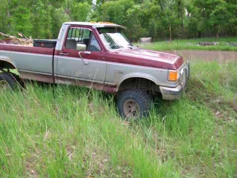 1988 Ford F-150 - This Ford F-250 pickup truck is parked in a grassy area with trees in the background.