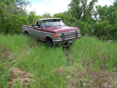 1988 Ford F-150 - This pickup truck appears to be a 1987 Ford F-150, seen here parked in a grassy area.