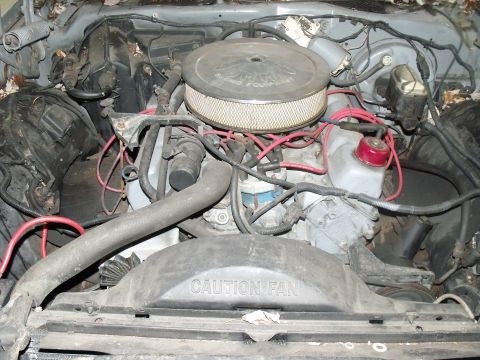 1979 Ford Ranchero - Engine bay of a 1979 Ford Ranchero, showing the V8 engine, air cleaner assembly, and radiator fan with 'CAUTION FAN' warning.