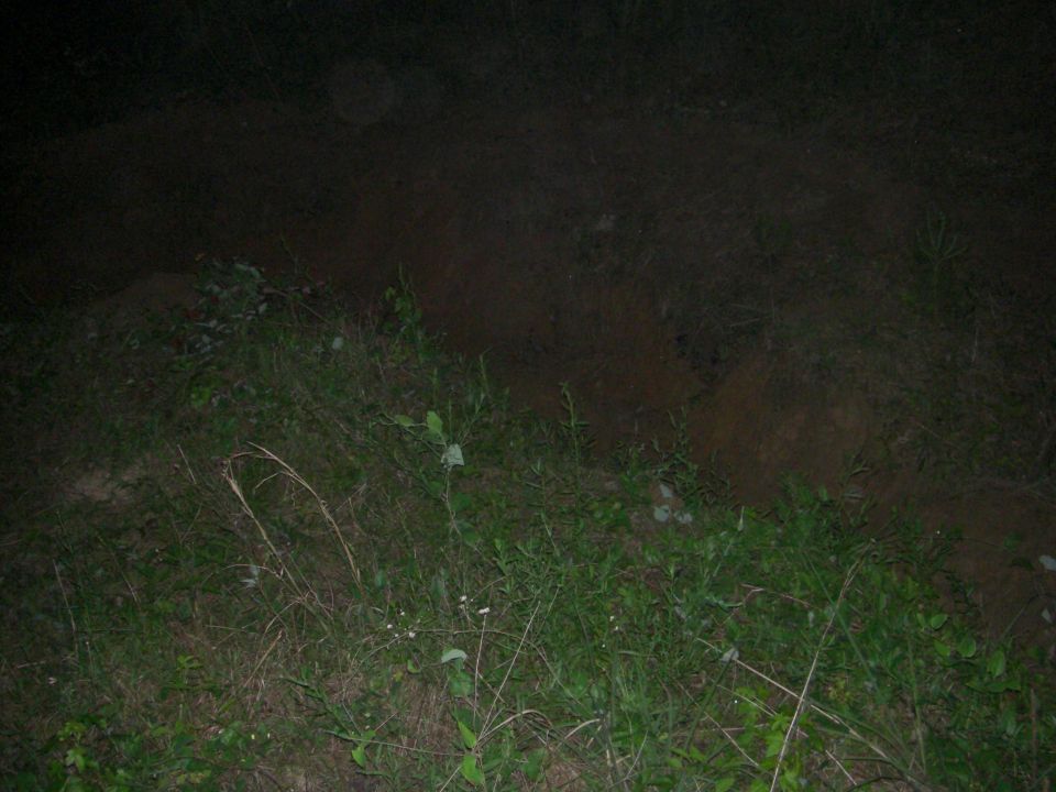 Overgrown ditch with grass and dirt at night. Watermark reads www.supermotors.net