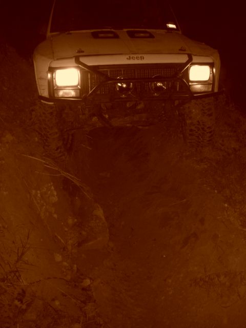 1984 Ford Bronco II “1BadB2”