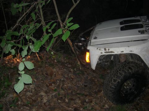 1984 Ford Bronco II “1BadB2”