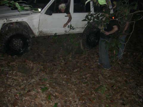 1984 Ford Bronco II “1BadB2”