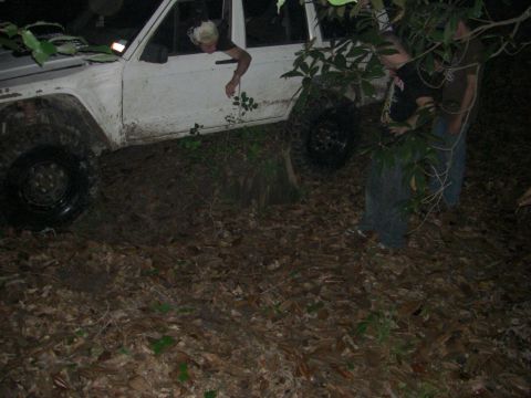 1984 Ford Bronco II “1BadB2”