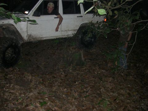 1984 Ford Bronco II “1BadB2”
