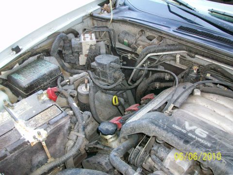 1999 Isuzu Vehicross “Bugzy”