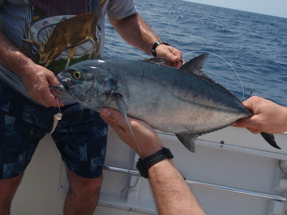 Fish held by two people on a boat, with water in the background