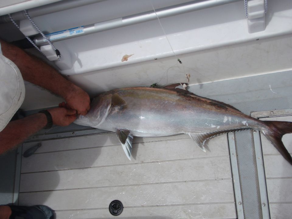 Fish being held in a boat, with Supermotors logo visible