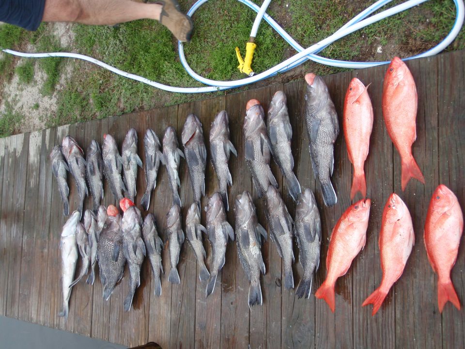 Pile of caught fish laid out on wooden planks, with a person holding a hose in the background