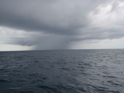 1995 Ford Bronco - A distant rain shower approaches over a choppy sea under heavy clouds.
