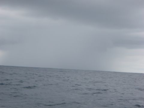 1995 Ford Bronco - The image shows a body of water under a cloudy sky, with a website logo visible.