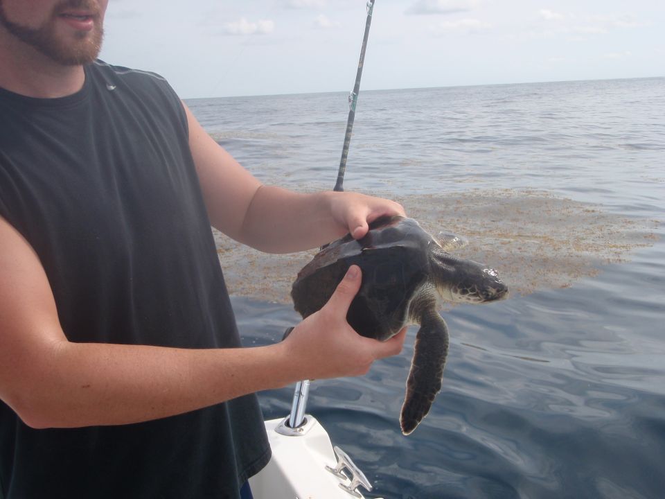 Man holding a sea turtle on a boat with a fishing rod in the background. Water has some seaweed