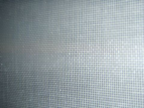 1995 Ford Bronco - A window screen with water droplets obscures the view, suggesting an indoor perspective.
