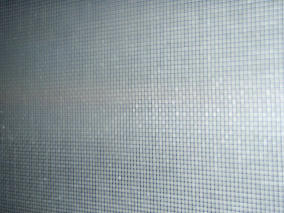 Close-up of a window screen with water droplets, showing a grid pattern