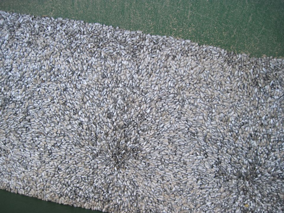 Carpet with a repeating pattern of small, light-colored elements