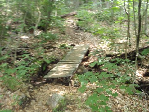 1995 Ford Bronco - Wooden bridge on a forest trail, surrounded by trees and foliage.