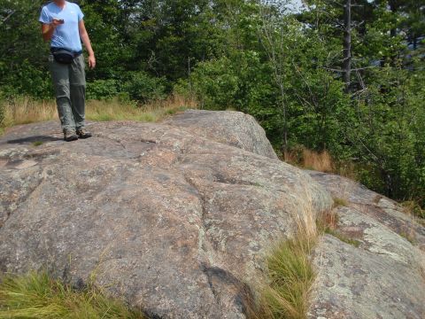 1995 Ford Bronco - A person stands on a large rock outcrop surrounded by vegetation.