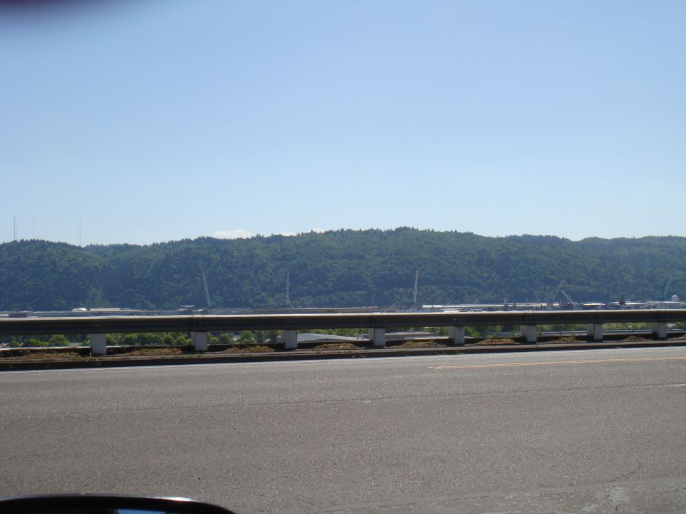 Roadway with a metal guardrail in the foreground and a tree-covered hill in the background under a clear blue sky