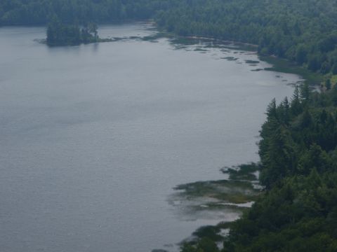 1995 Ford Bronco - A wide view of a lake surrounded by dense forest, with a small island visible in the water.