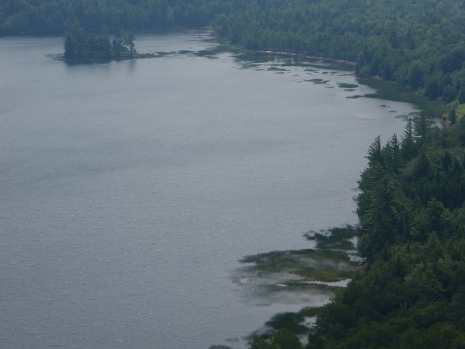 Lake with trees on the right bank and a small island in the distance. Water has ripples