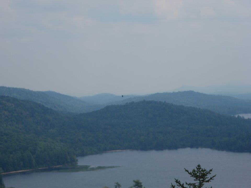 Misty mountains and a lake with a bird flying