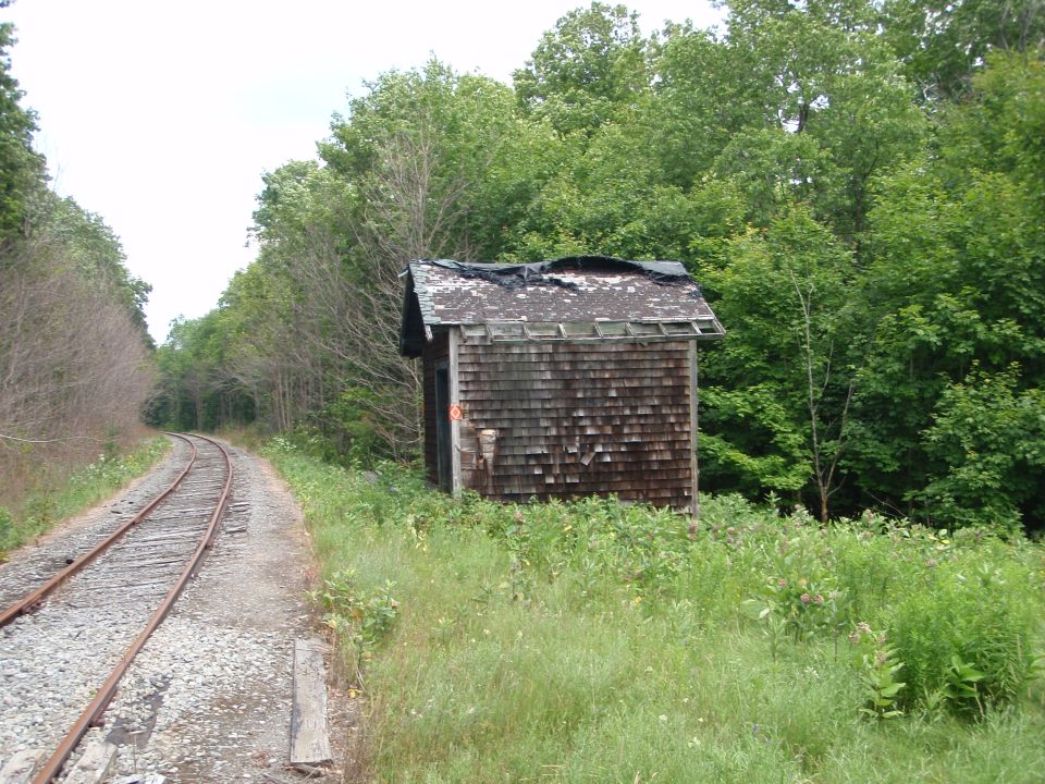 Old wooden shack next to railroad tracks, surrounded by trees and overgrown grass