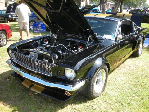 1992 Ford Crown Victoria - A classic black Ford Mustang with gold racing stripes is displayed with its hood open at an outdoor car show.
