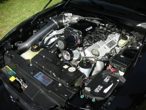 1992 Ford Crown Victoria - Close-up of a supercharged V8 engine bay, identified as a 2003 Cobra Terminator.