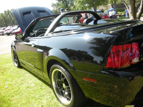 1992 Ford Crown Victoria - A black convertible sports car is parked on a grassy lawn with other vehicles in the background.