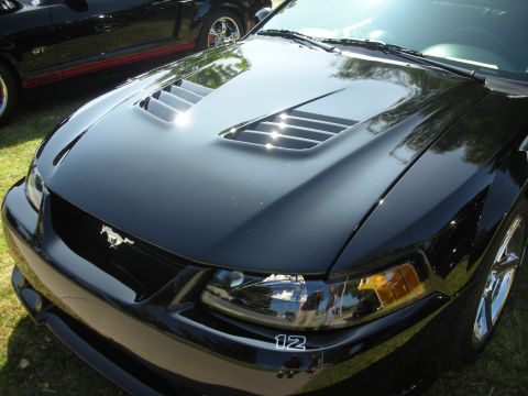 1992 Ford Crown Victoria - A black Ford Mustang is shown from the front, a louvered hood and a '12' decal on the bumper.