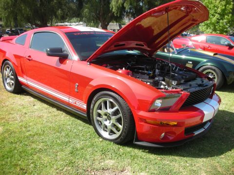 1992 Ford Crown Victoria - A red 2007 Ford Mustang Shelby GT500 is displayed with its hood open at a car show.