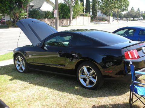 1992 Ford Crown Victoria - Black Ford Mustang coupe with hood open, parked on grass next to a blue car.