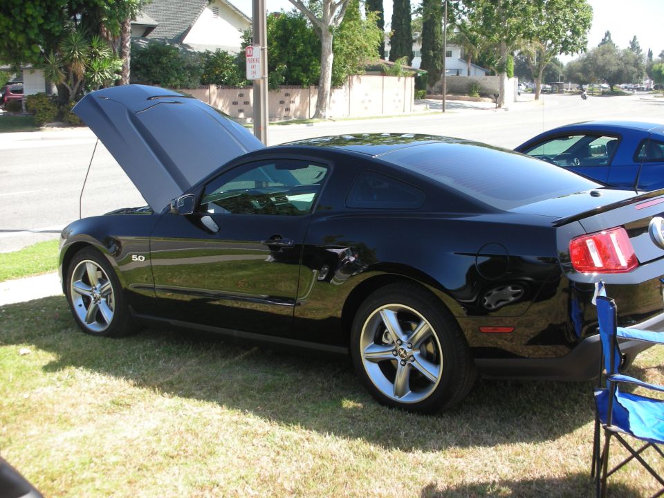 Black Ford Mustang coupe, hood open, parked on grass. Another blue car is visible behind it