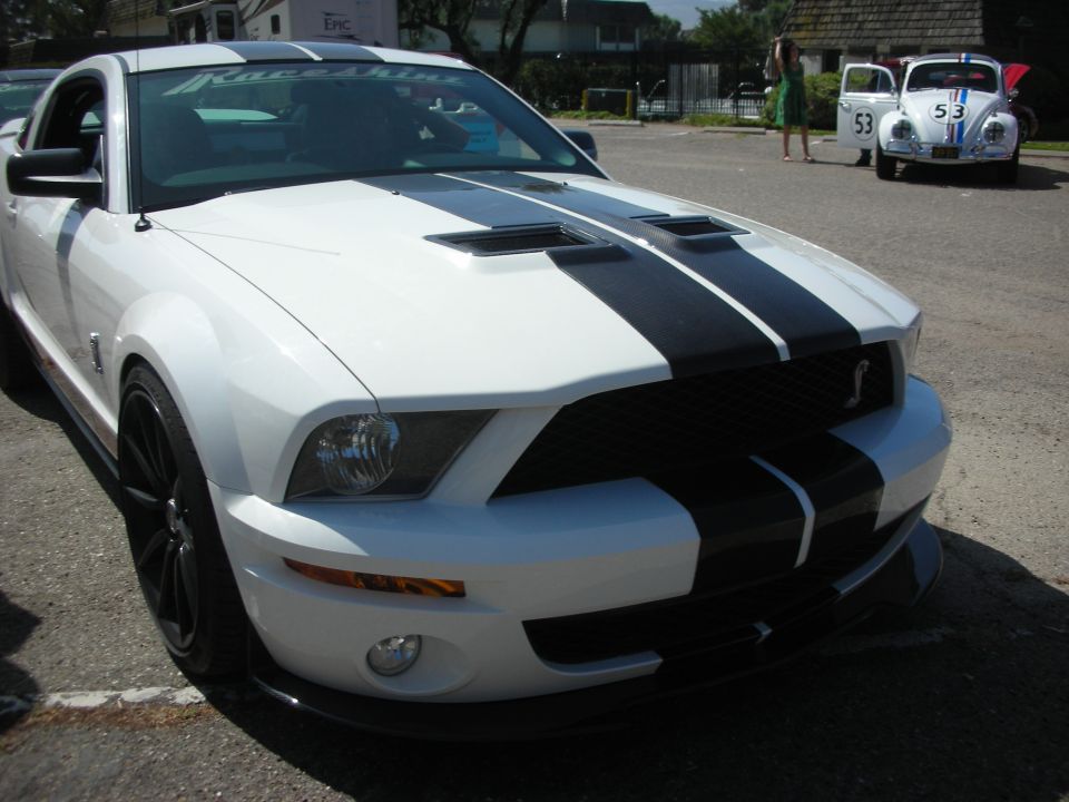 White Ford Mustang Shelby GT500 with black racing stripes, front view